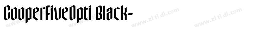 CooperFiveOpti Black字体转换